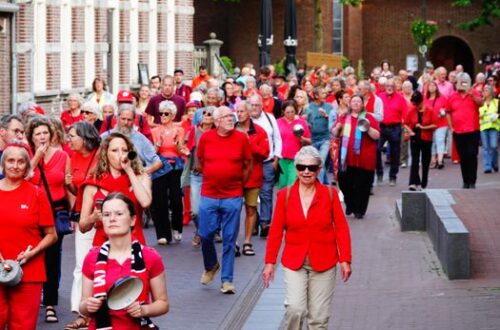 Alles wat je moet weten over Action Alkmaar en vergelijkbare winkels